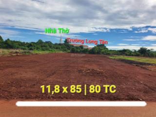 Đất vườn siêu đẹp gần 1000m2 tại long tân  đất đỏ  brvt chỉ 2.5tr/m2  nhanh tay ạ