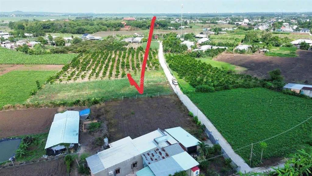 Bán 2000m2 đất vườn sẵn thổ cư  giá siêu rẻ chỉ 1.3tr/m2  nhanh tay khách ơi