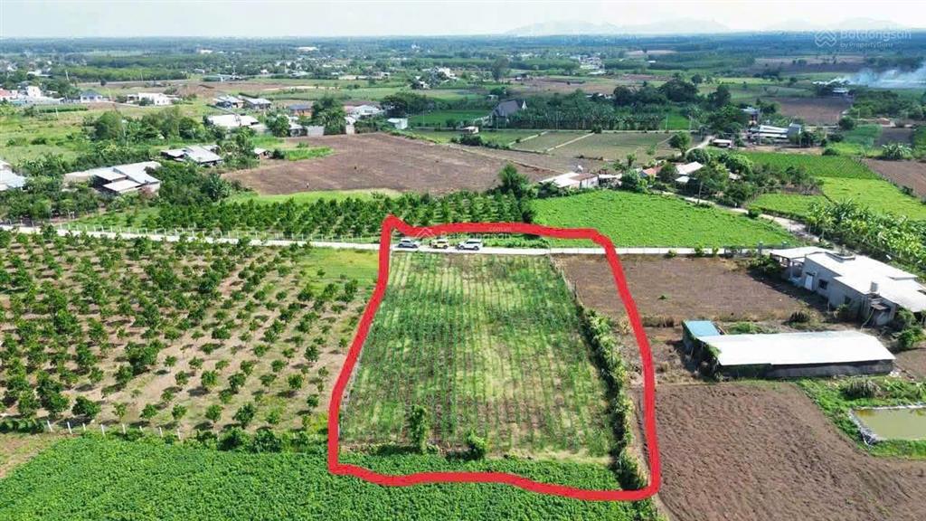 Bán 2000m2 đất vườn sẵn thổ cư  giá siêu rẻ chỉ 1.3tr/m2  nhanh tay khách ơi