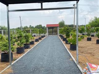 Bán 1500m2 nhà vườn xe hơi tới đất xã bình khánh