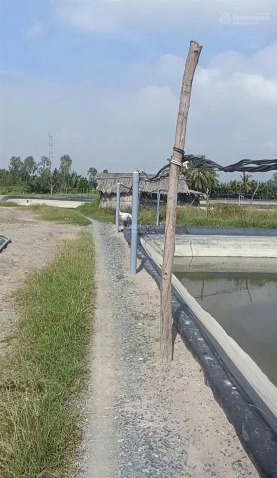 Bán đất 162 m2 cách đường rừng sác 1km đất nông nghiệp