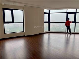 Cho thuê căn hộ 3pn, 3wc, 18 triệu, 124m² đồ cơ bản tại roman plaza, hà đông, hà nội