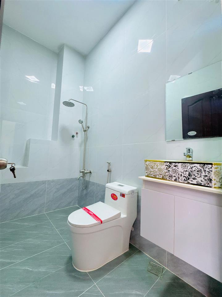 Nhà mặt tiền nội bộ khu VIP Bông Sao P5Q8