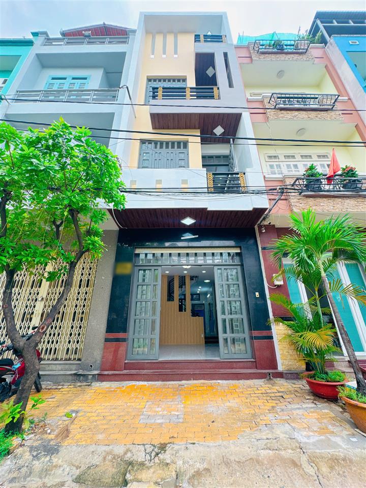 Nhà mặt tiền nội bộ khu VIP Bông Sao P5Q8