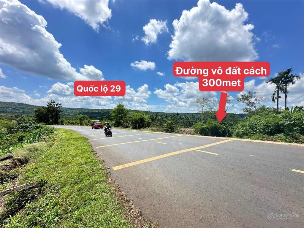 Bán vườn cây ăn trái đã cho thu hoạch