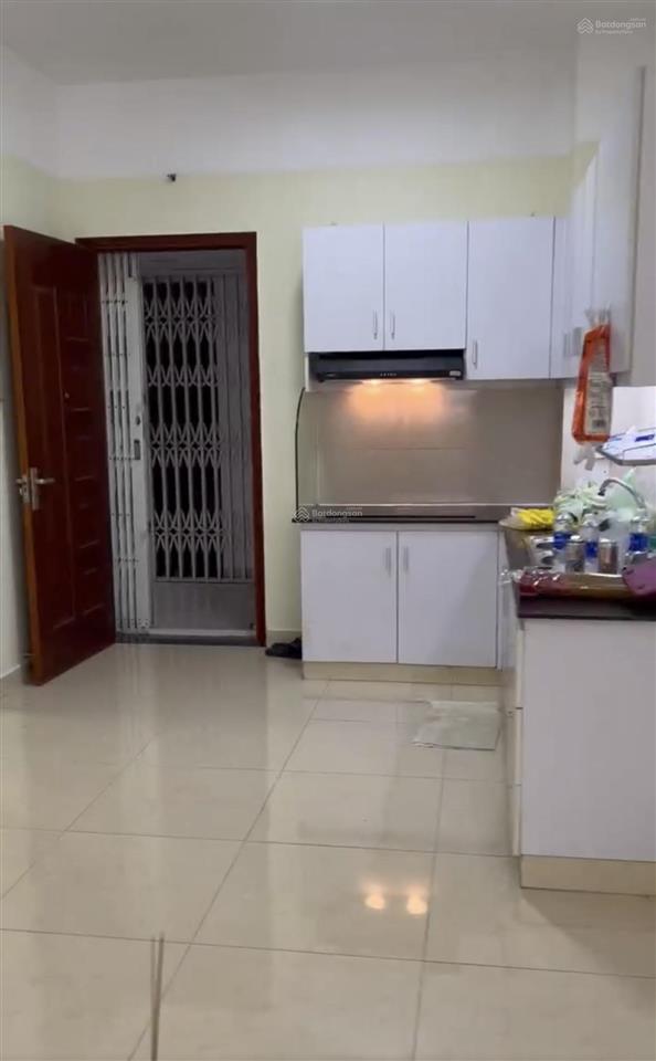 Bán căn hộ idico tân phú  ngay đầm sen. dt 62m2/2pn + 2wc, giá 3 tỷ, sổ hồng riêng