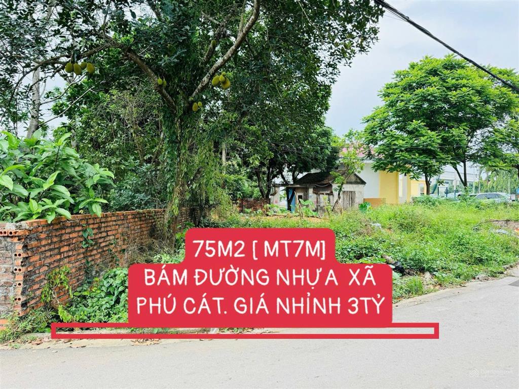 Nhỉnh 3tỷ có luôn 75m2 trung tâm xã phú cát [ mặt tiền 7m]