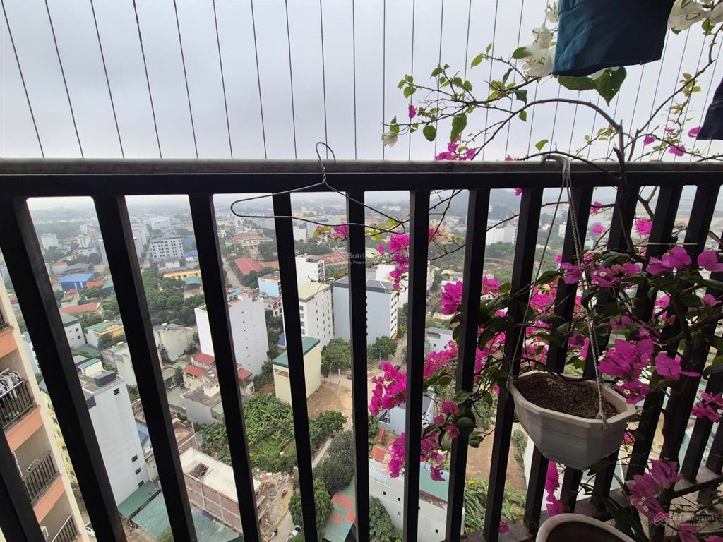 Chủ nhà cần tiền bán nhanh căn góc 2n2wc phenikaa