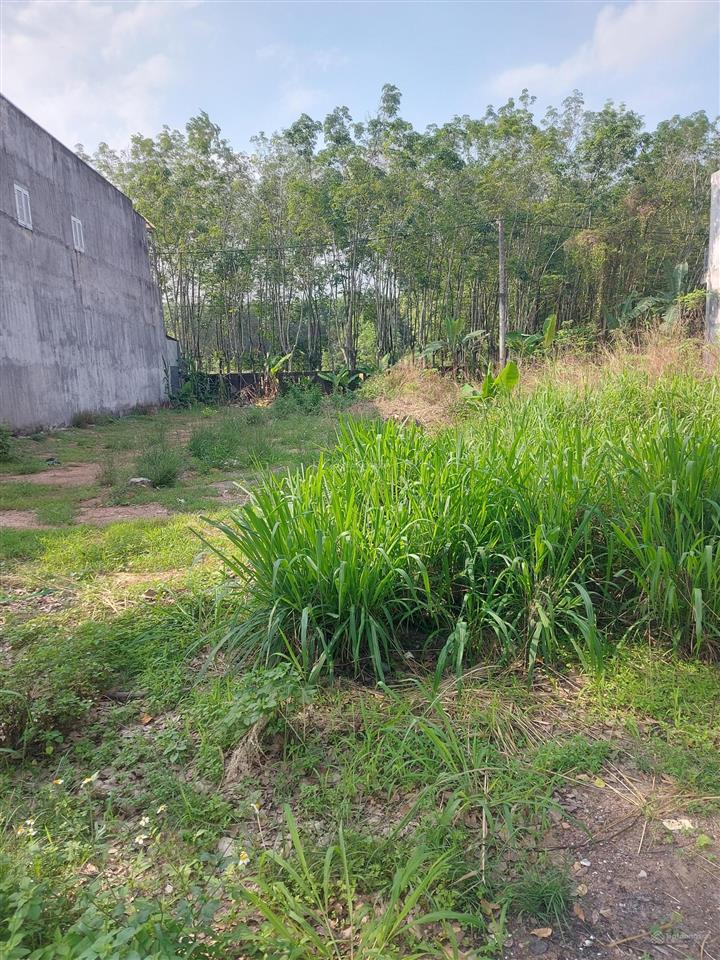 Đất mặt tiền đường nk13 ngay cây xăng asd đường nhựa 23m thông vị trí đẹp kinh doanh buôn bán