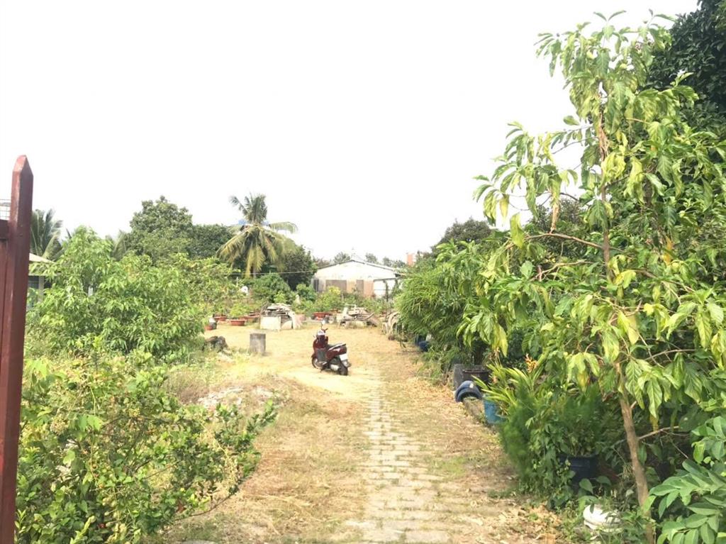 Đất chánh nghĩa giáp rạch hẻm bùi quốc khánh cách chợ thủ dầu một chỉ 500m ngay trung tâm giá rẻ