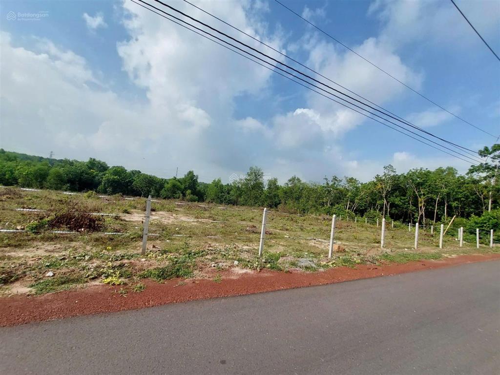 Bán 2ha đất lai uyên bàu bàng cách quốc lộ 13 vào 100m đất ngang 134m mặt tiền nhựa 6m đẹp