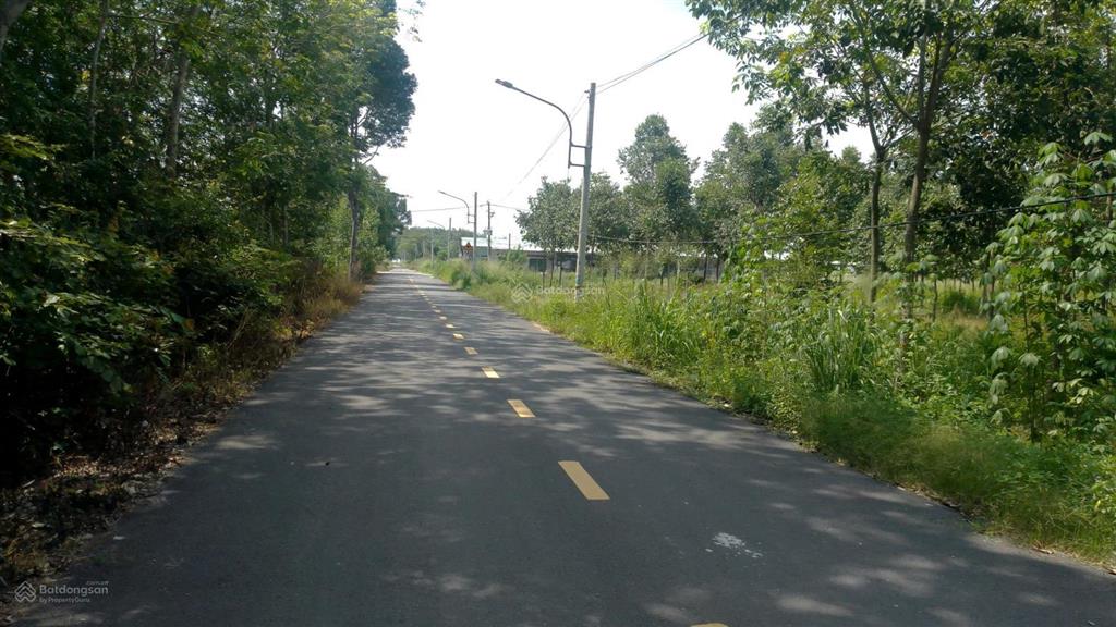 Bán 1,6ha đất lai uyên, bàu bàng nằm sát quốc lộ 13 đường nhựa 10m thông ra tạo lực bắc tân uyênbb