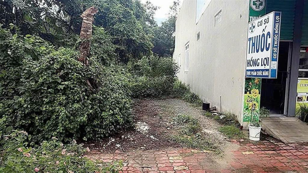 Đất mặt tiền đường mạc đĩnh chi phường tân an đường nhựa 9m ngay gần trường học giá tốt cho đầu tư