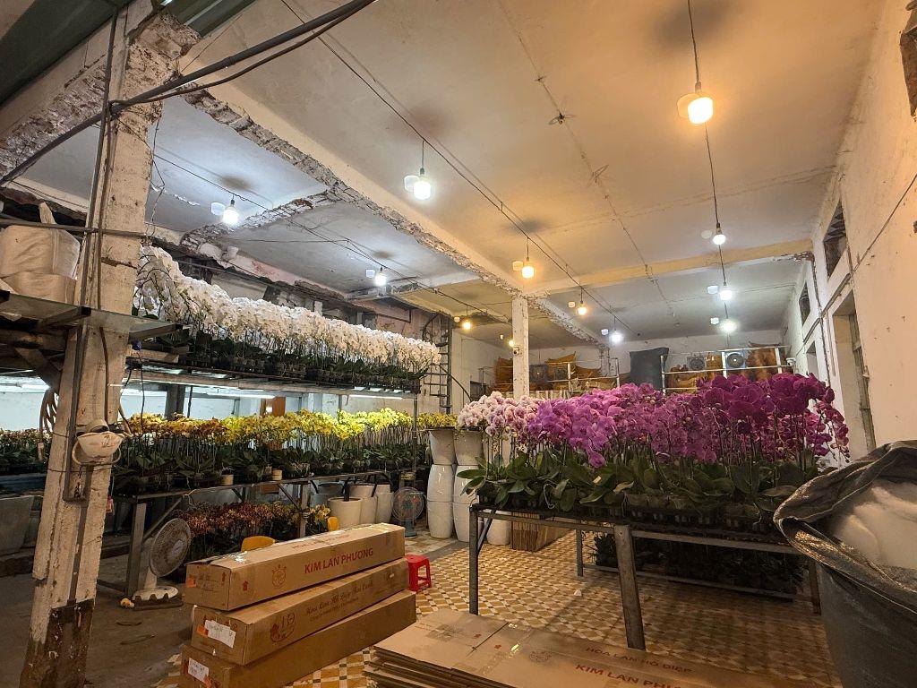 60 Tỷ! Mặt Tiền Thương Hiệu Lê Hồng Phong P2 Quận 10 - ngang KHỦNG 10x27m - 3 Tầng
