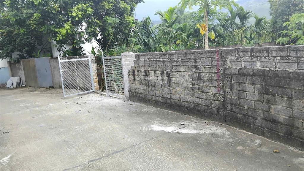 Chính chủ cần bán gấp đất minh hồng, ba vì, hà nội  371m2 (160m2 đất ở 211m2 cây lâu năm)