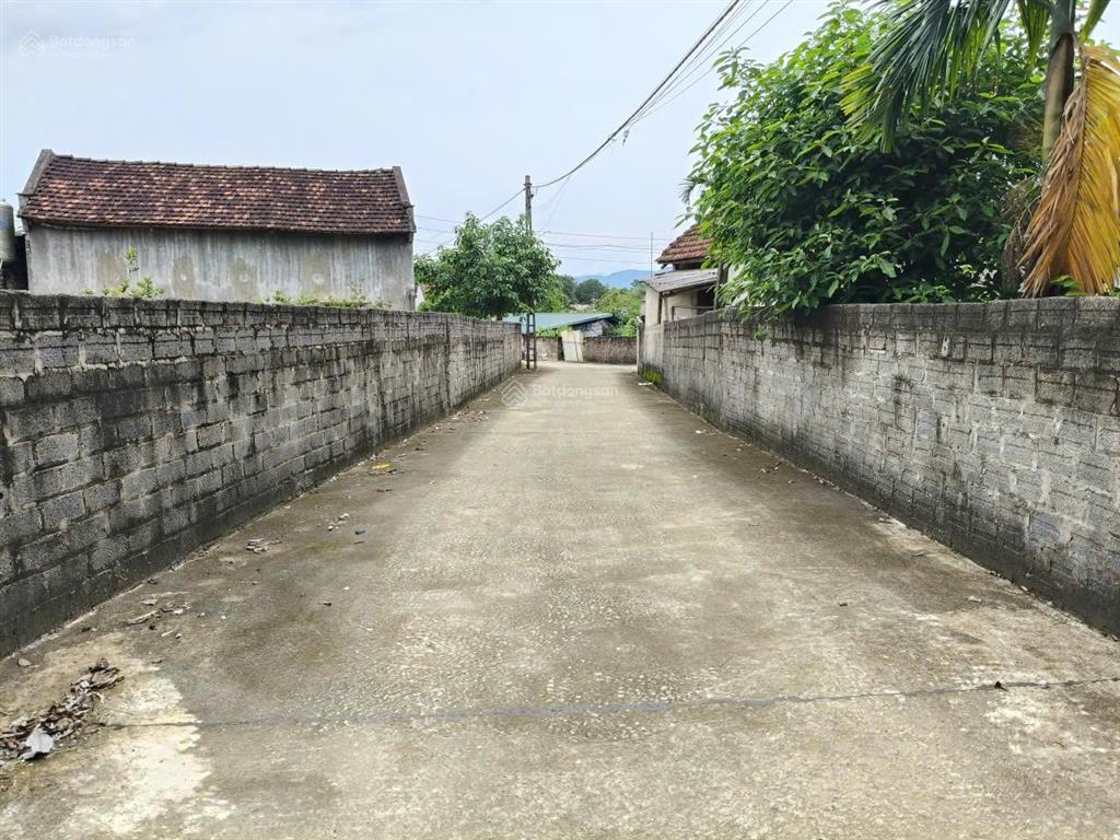 Chính chủ cần bán gấp đất minh hồng, ba vì, hà nội  371m2 (160m2 đất ở 211m2 cây lâu năm)