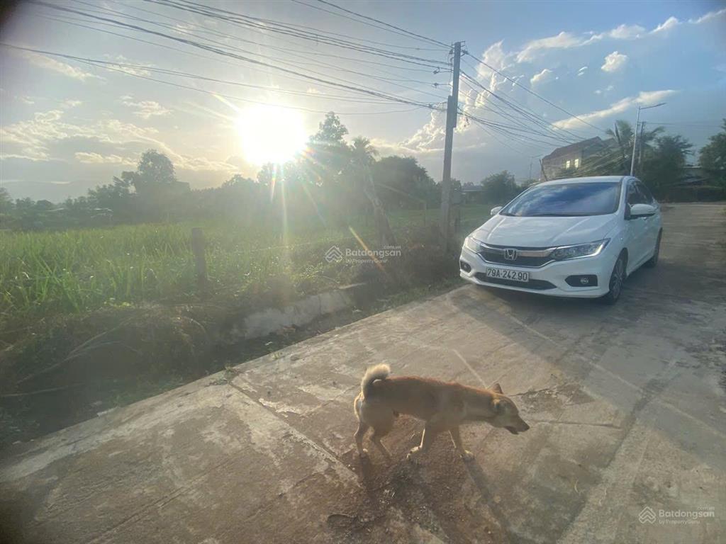 Bán đất thổ cư lam sơn, ninh sim, ninh hoà, khánh hoà. đường ô tô. cách ql26 chỉ 300m
