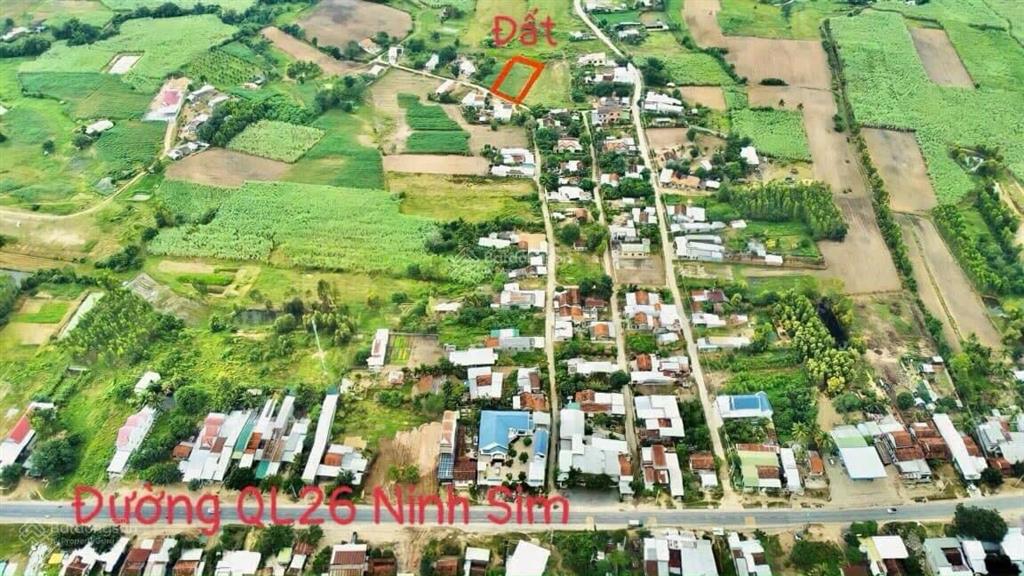 Bán đất thổ cư lam sơn, ninh sim, ninh hoà, khánh hoà. đường ô tô. cách ql26 chỉ 300m