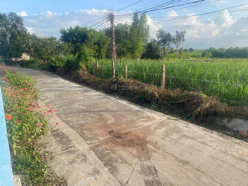 Bán đất thổ cư lam sơn, ninh sim, ninh hoà, khánh hoà. đường ô tô. cách ql26 chỉ 300m