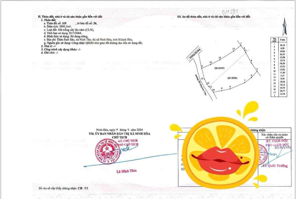 Đất full thổ cư mặt tiền hương lộ 39, xã suối tiên, diên khánh. 319m2 ngang 7,4m
