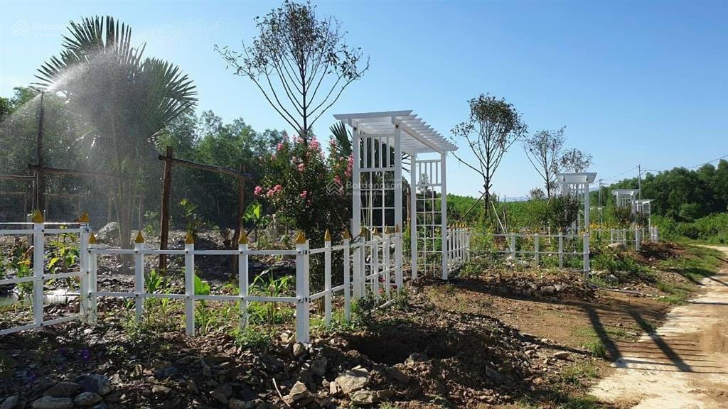 Đất vườn full thổ cư 546m2 khánh bình, khánh vĩnh