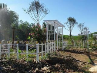 Đất vườn full thổ cư 546m2 khánh bình, khánh vĩnh
