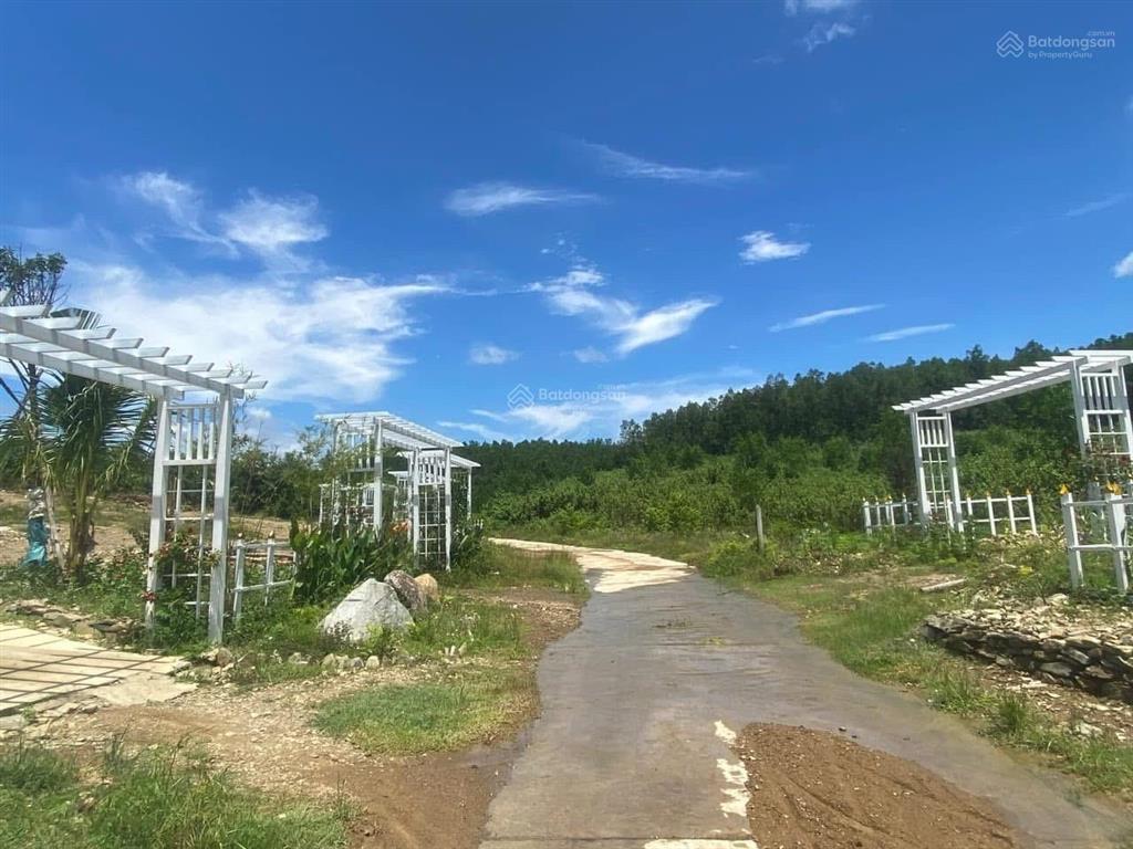Đất vườn full thổ cư 546m2 khánh bình, khánh vĩnh