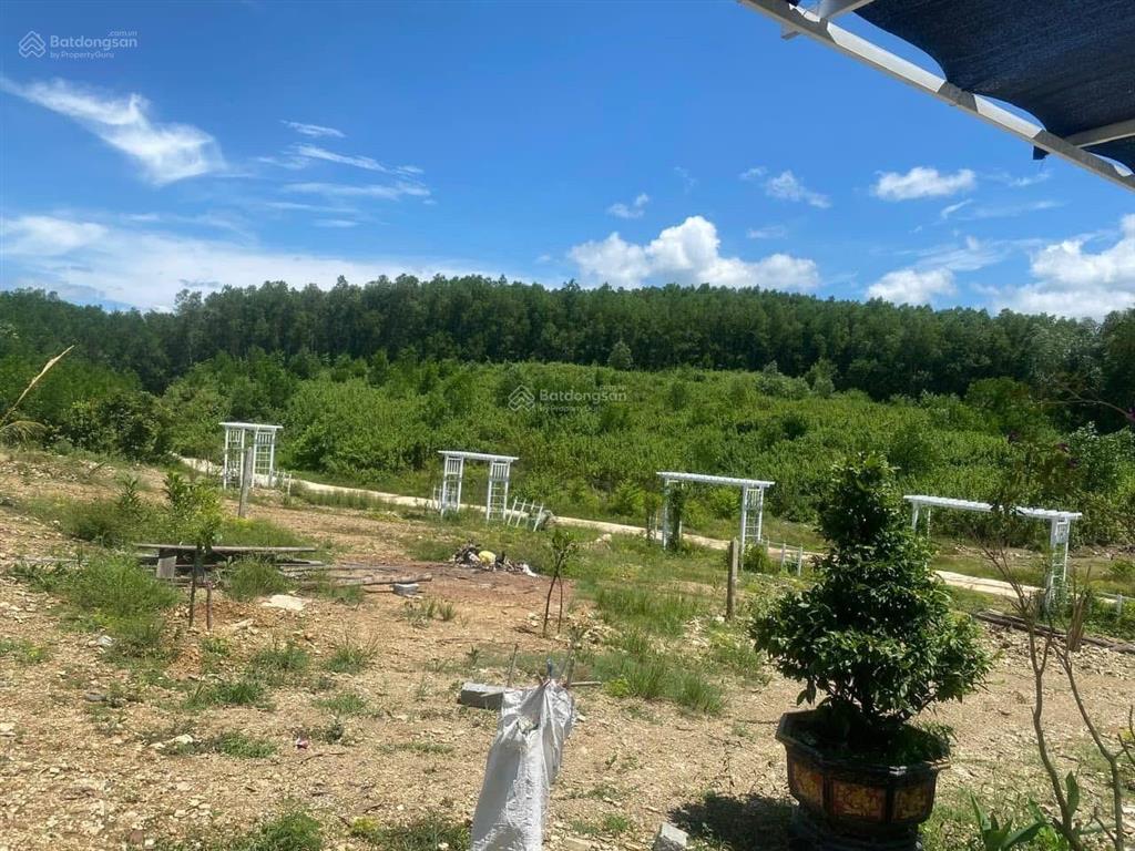 Đất vườn full thổ cư 546m2 khánh bình, khánh vĩnh