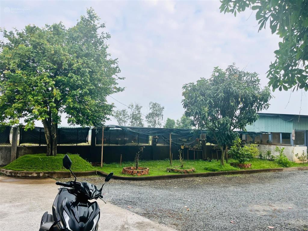 Bán nhà vườn đường lê đình chi, 5,7 tỷ, 1123m2, đẹp, nhiều tiện ích