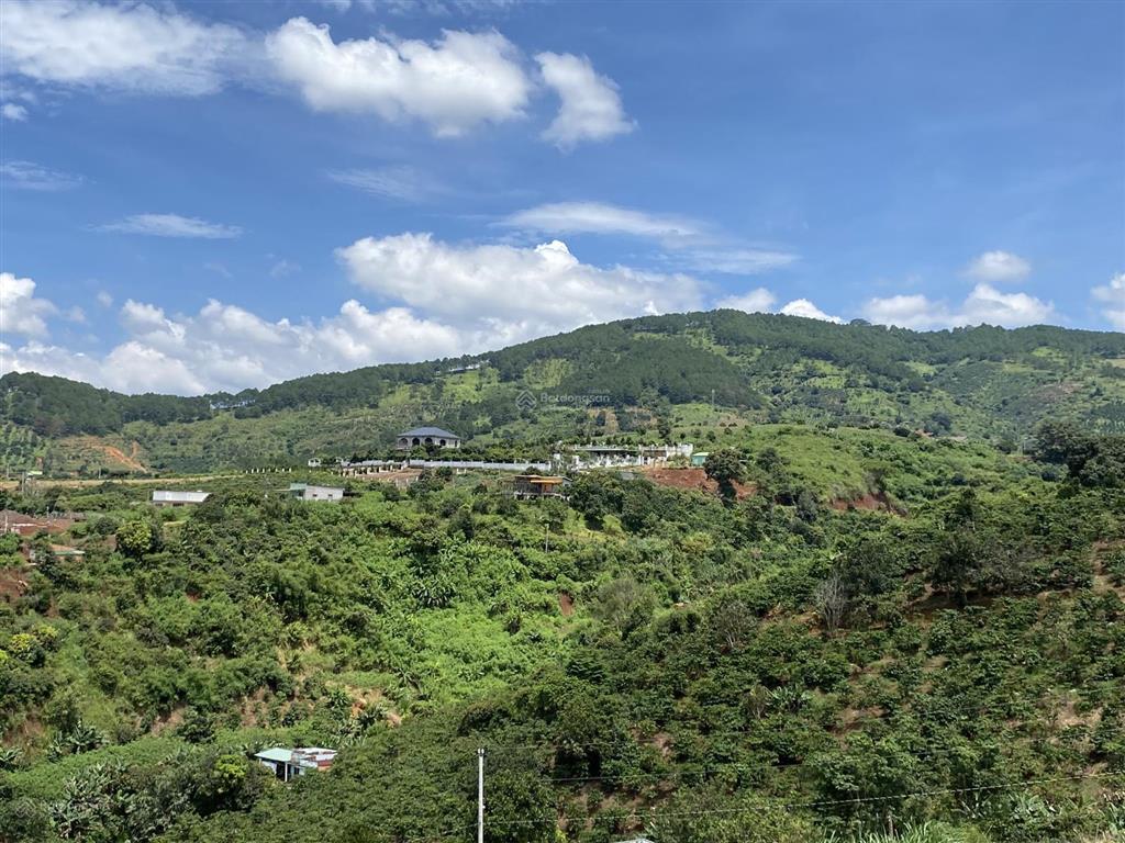 Làng nghỉ dưỡng nam ban view, f0 chỉ 850 triệu, 500m2, shr, view đồi thông, toàn thị trấn