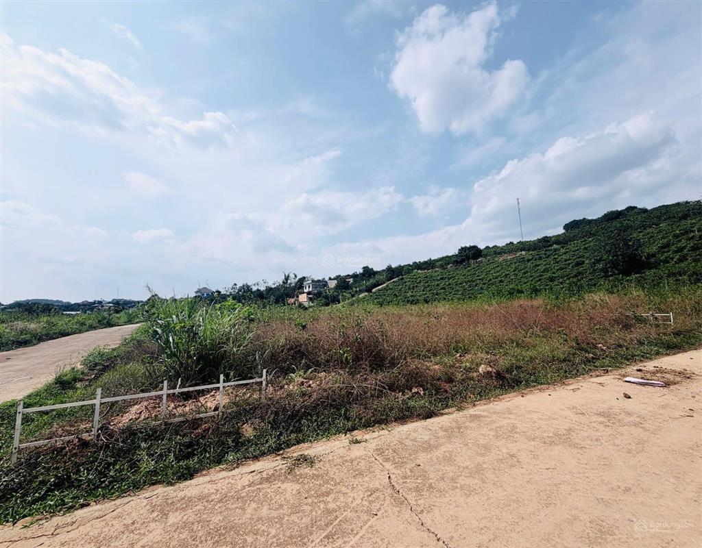 Gốc 2 mặt tiền, trung tâm nam ban, 505m², 1,4 tỷ, sổ sẵn cc, chính chủ 0903 028 ***
