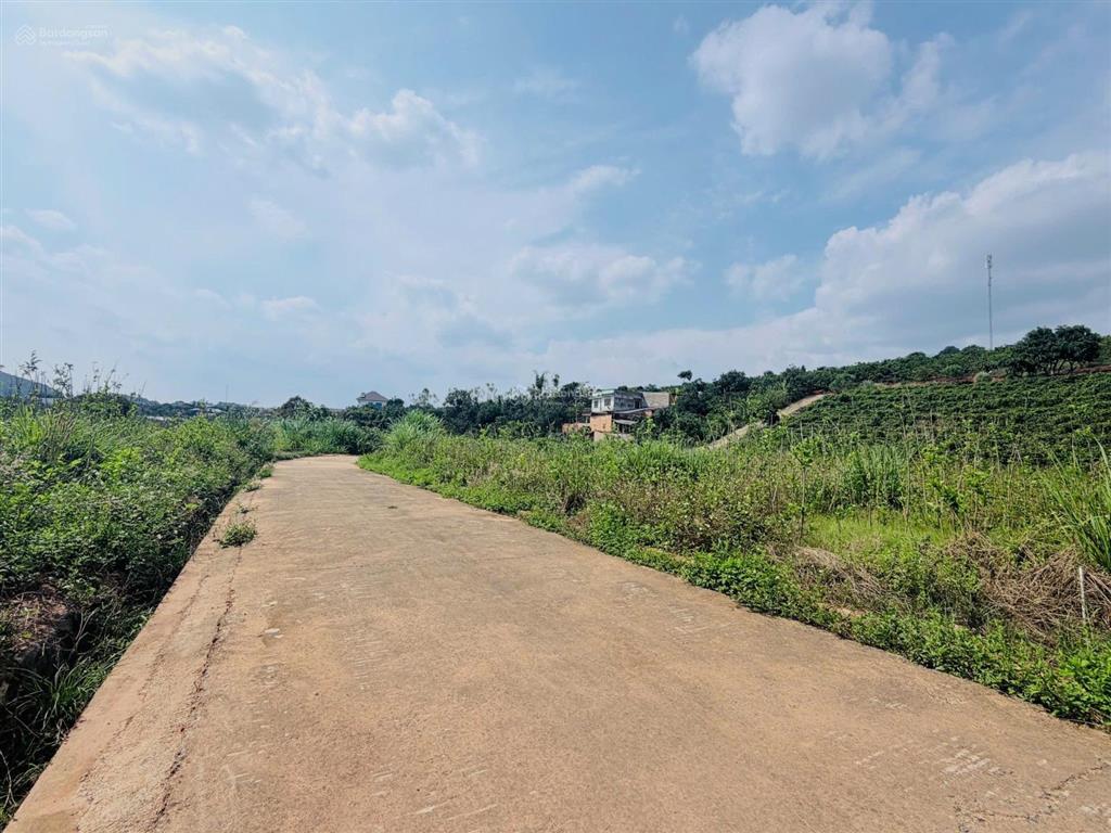 Gốc 2 mặt tiền, trung tâm nam ban, 505m², 1,4 tỷ, sổ sẵn cc, chính chủ 0903 028 ***