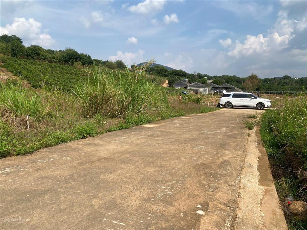 Gốc 2 mặt tiền, trung tâm nam ban, 505m², 1,4 tỷ, sổ sẵn cc, chính chủ 0903 028 ***