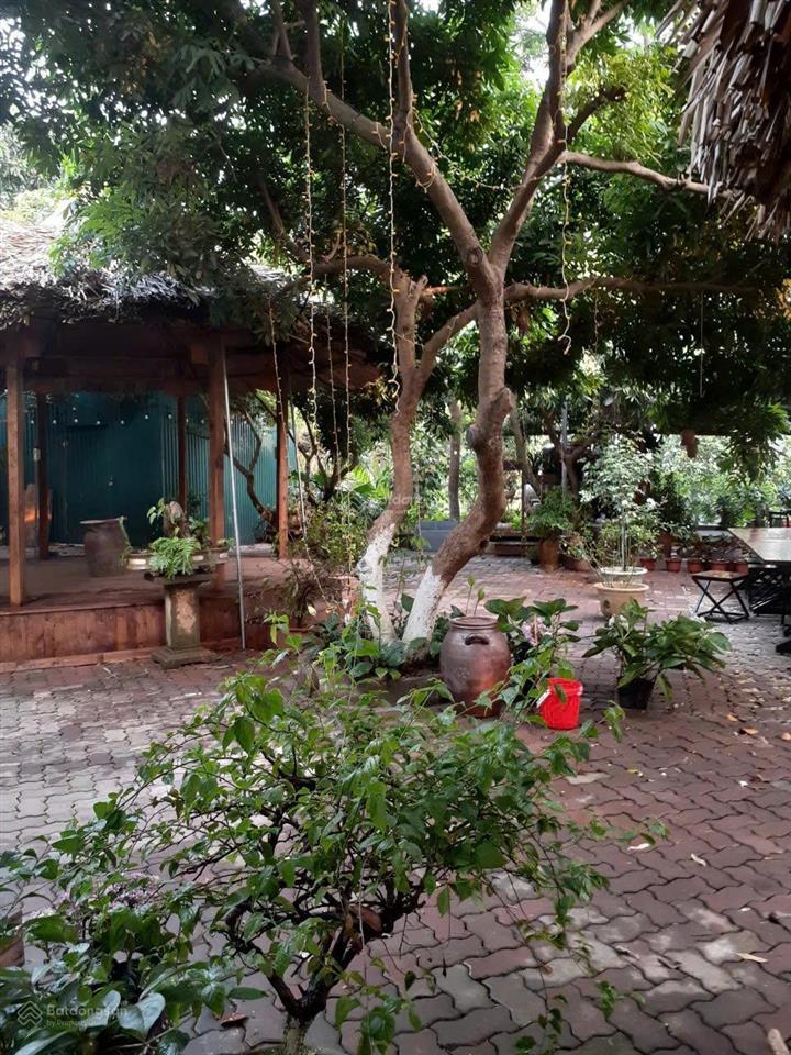 Cho tây, ta, thuê 360m2, nhà vườn an dương, yên phụ, tây hồ