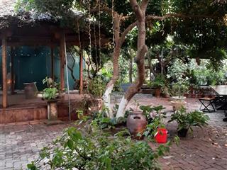 Cho tây, ta, thuê 360m2, nhà vườn an dương, yên phụ, tây hồ