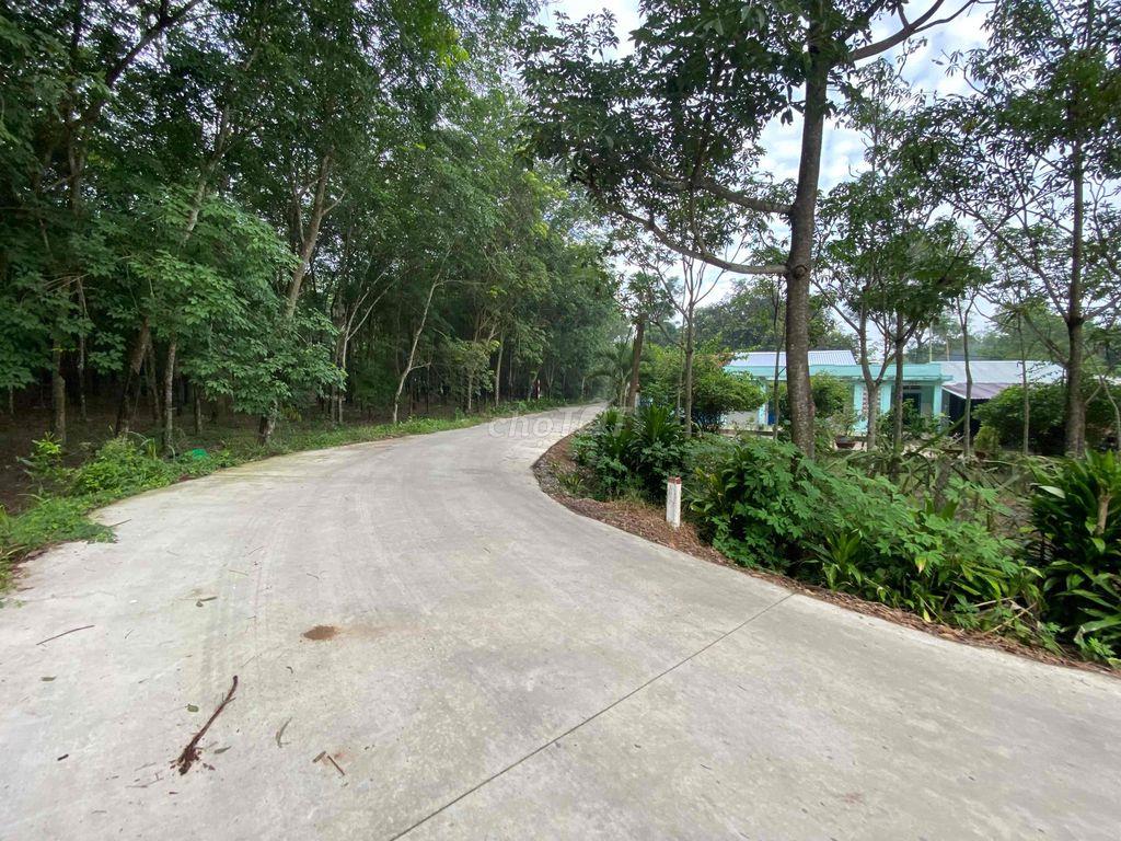 Chính Chủ kẹt tiền cần bán đất phước sang phú giáo