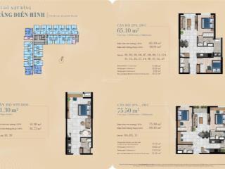Bán 65m2 the gió giá all in bao thuế phí 2.9 tỷ 2pn 2wc