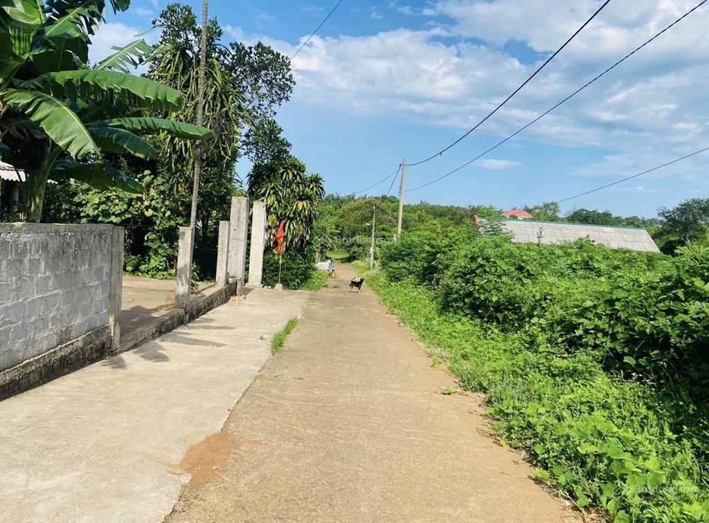 Chính chủ cần bán đất tại đường số 9, kim thạch, vĩnh linh, quảng trị
