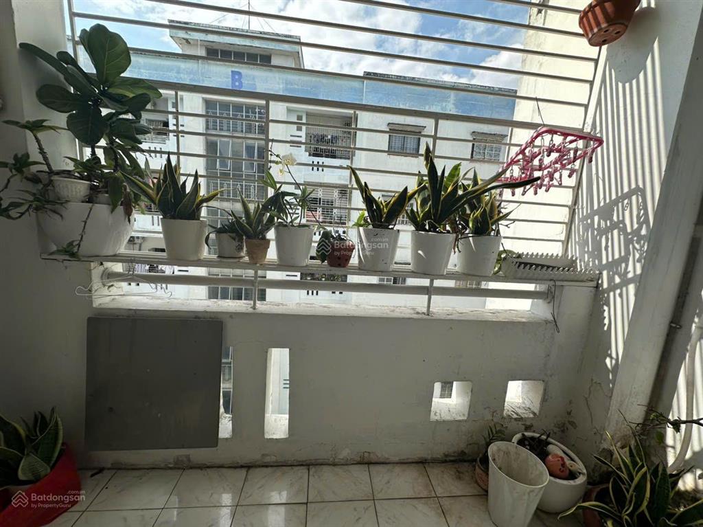 Cần cho thuê gấp chung cư phú lợi khu d thang bô . 0909 626 ***