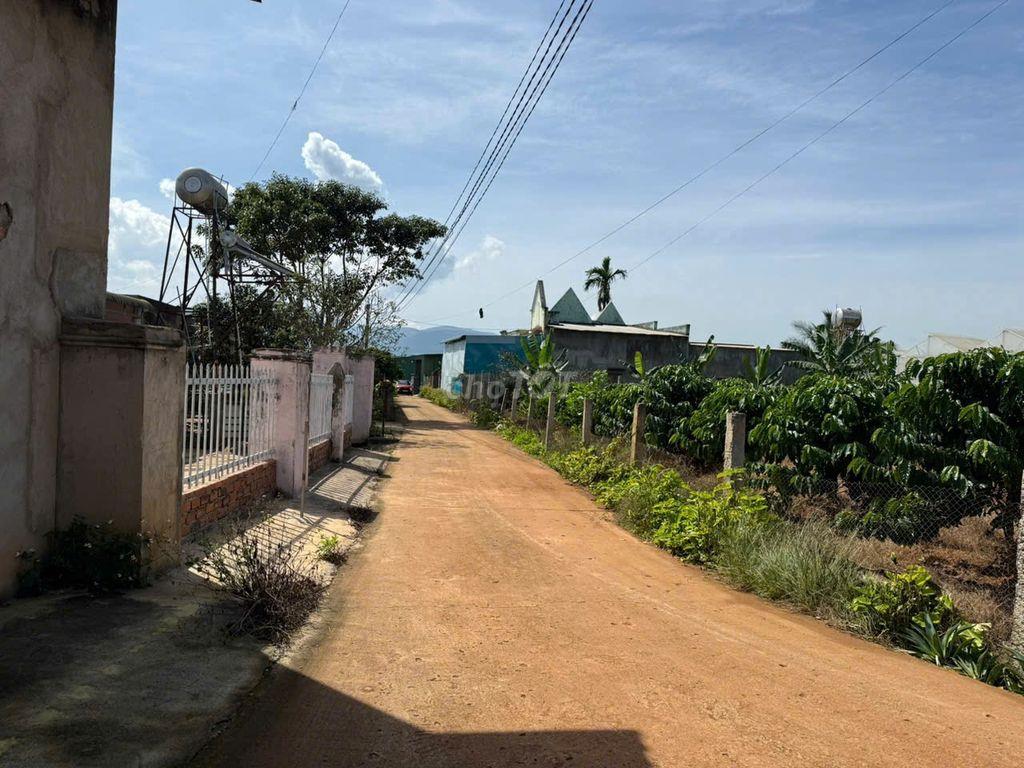 Lô đất sau chợ Thăng Long gần hồ Bãi Công 335m2 chỉ 1.2 tỷ