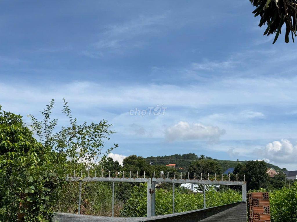 Lô đất sau chợ Thăng Long gần hồ Bãi Công 335m2 chỉ 1.2 tỷ