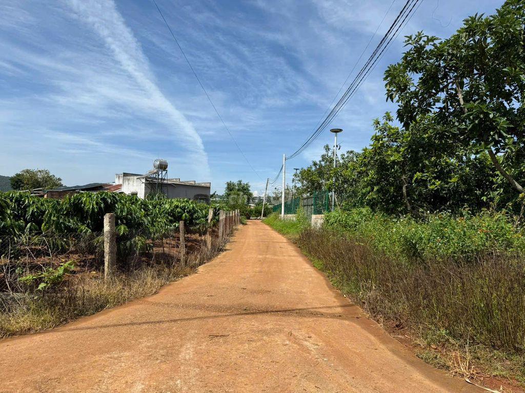 Lô đất sau chợ Thăng Long gần hồ Bãi Công 335m2 chỉ 1.2 tỷ