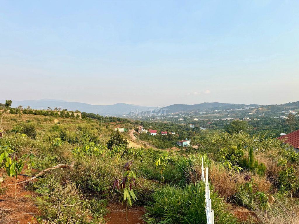 8.8 sào gần chợ Thăng Long Nam Ban chỉ 5.2 tỷ thích hợp làm Farmstay