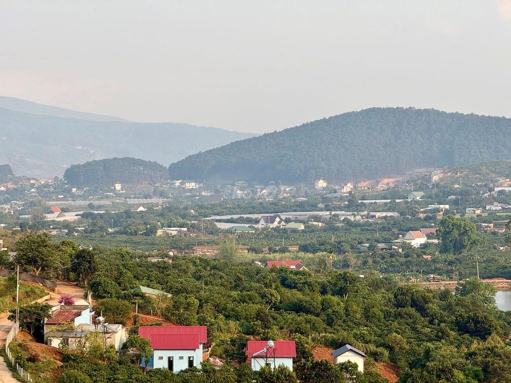 8.8 sào gần chợ Thăng Long Nam Ban chỉ 5.2 tỷ thích hợp làm Farmstay