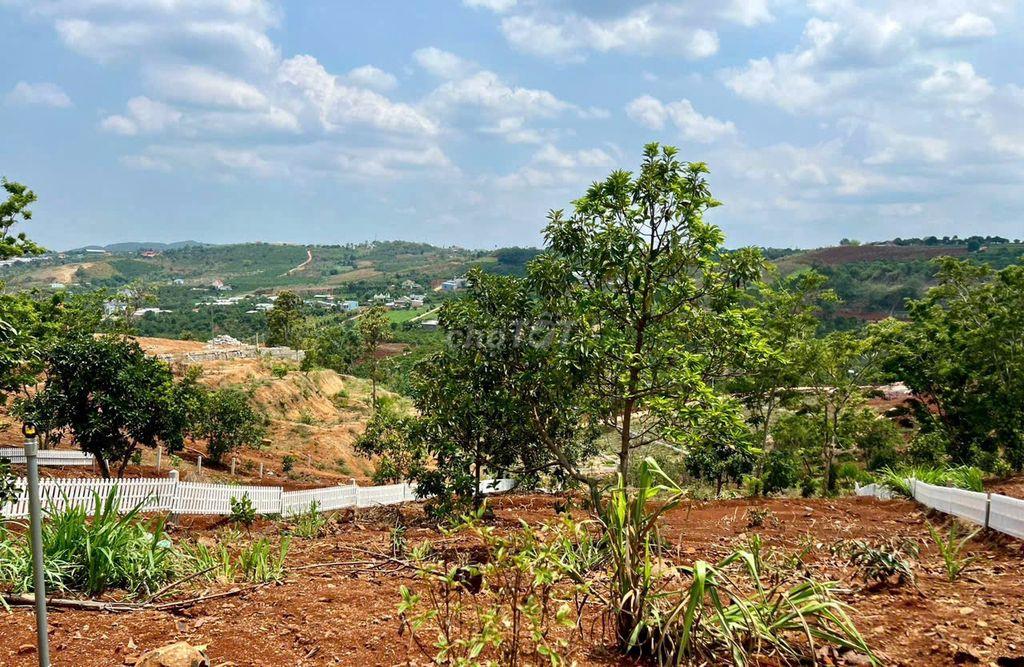 Chỉ 1,29 tỷ cho 711m2 xã Nam Ban, thương lượng nhanh