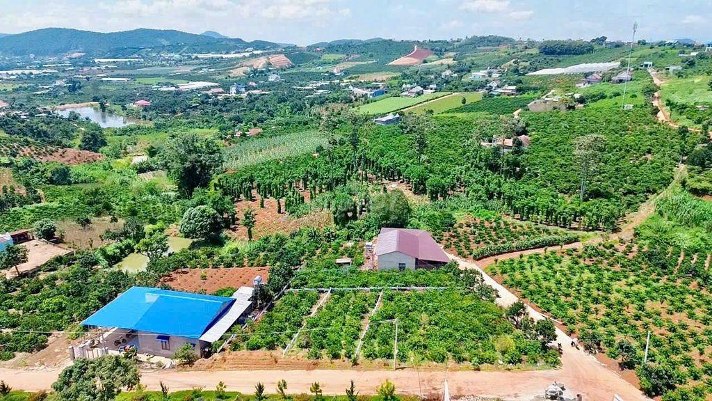 354m2 đất xã Nam Ban sẵn cafe trên đất, ngang 10.6m chỉ 1.1 tỷ