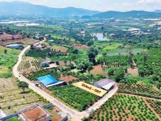 354m2 đất xã Nam Ban sẵn cafe trên đất, ngang 10.6m chỉ 1.1 tỷ