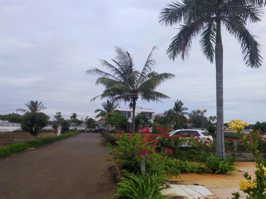 Bán đất sổ đỏ thổ cư, quy hoạch bài bản, xây dựng ngay, cách biển hồ tràm chỉ 1km, giá tốt