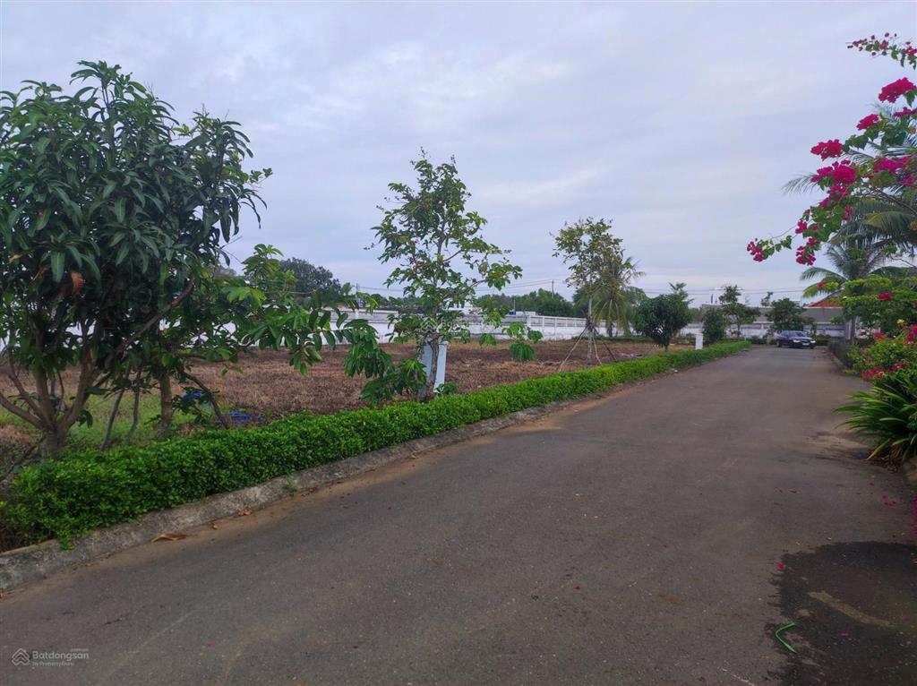 Bán đất sổ đỏ thổ cư, quy hoạch bài bản, xây dựng ngay, cách biển hồ tràm chỉ 1km, giá tốt