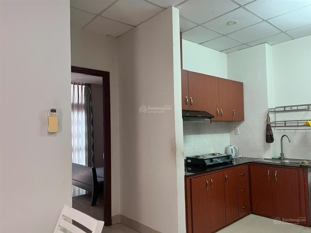 Cho thuê chung cư đường hoàng hoa thám, f12, quận tân bình